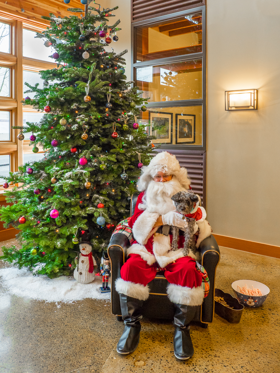 Windermere_SantaPaws-3